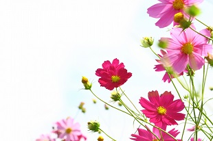 企業理念のイメージ